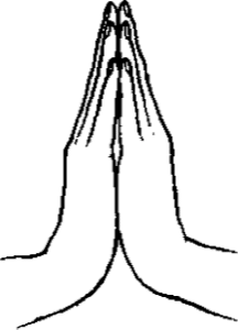 anjali.png