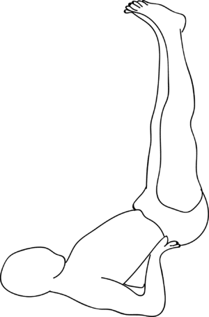 Viparita_Karani.png