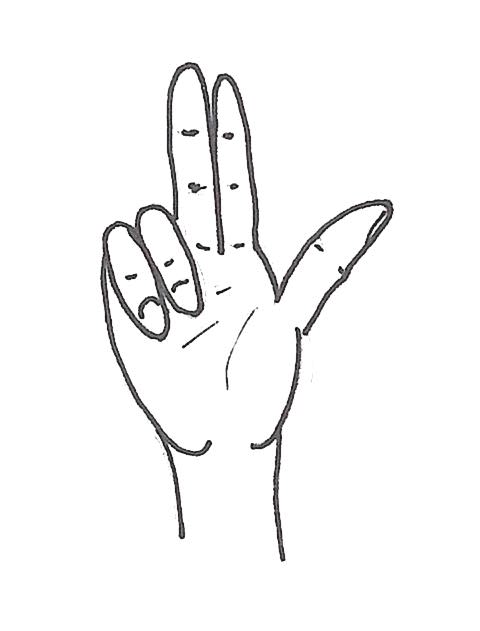 nasagra mudra.jpg